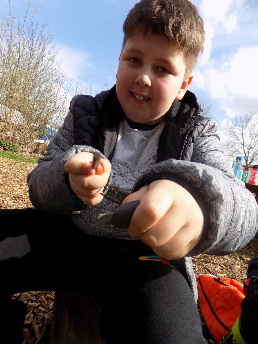 Westlands Primary tweet media