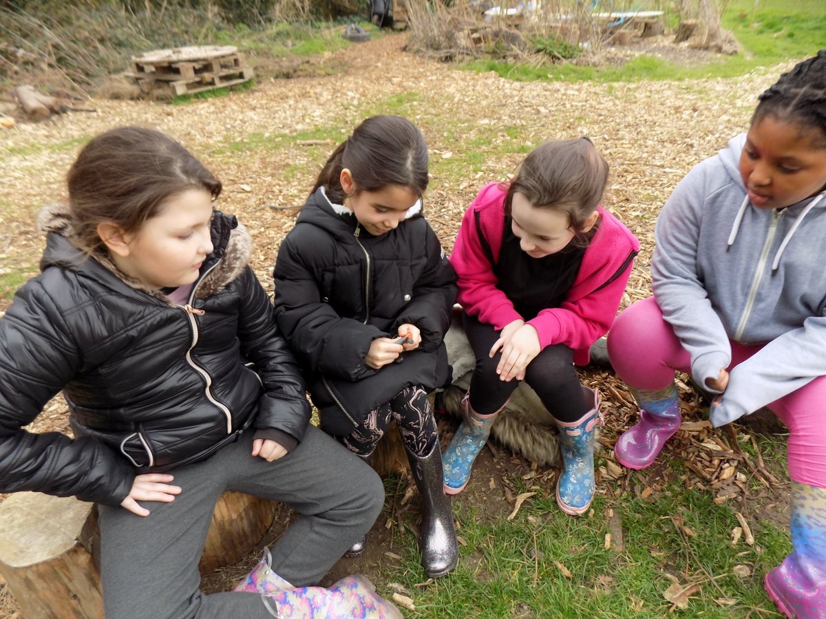 Westlands Primary tweet media