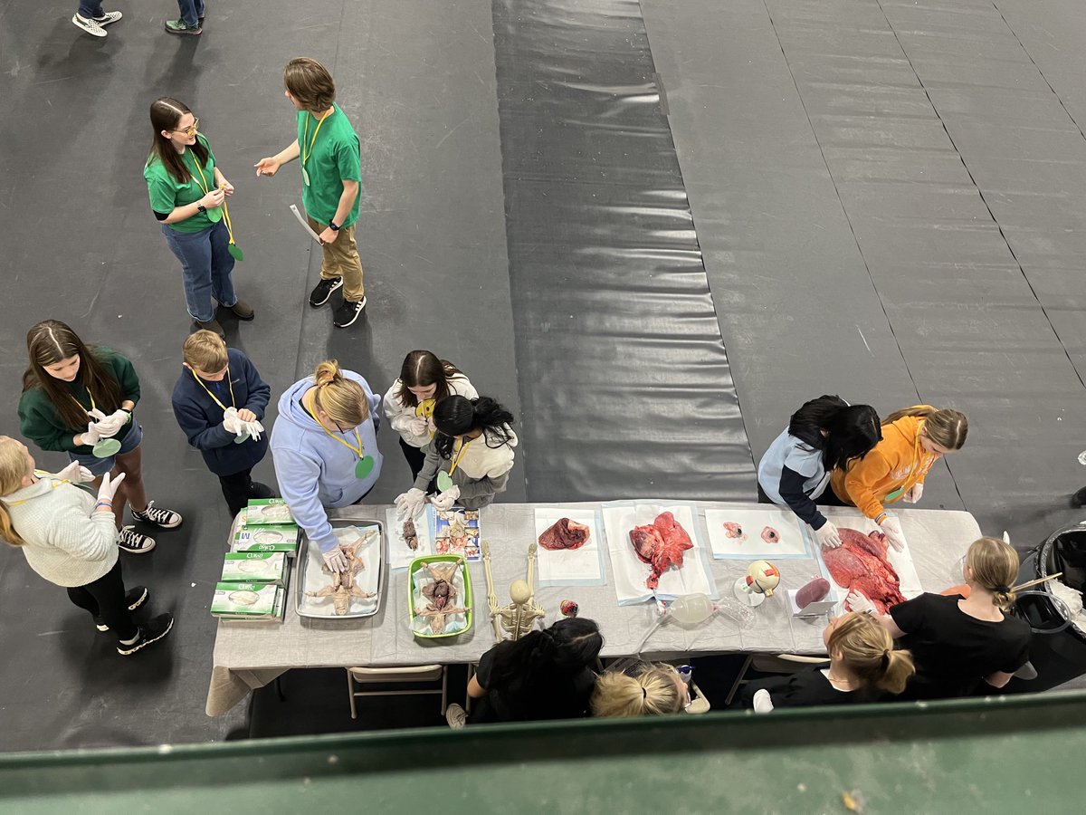 Bryantsuz's tweet photo. Students love the hands on learning from health sciences @GreeneTechCtr @GreenevilleCity #gcstem24 https://t.co/g3CZy36b8G