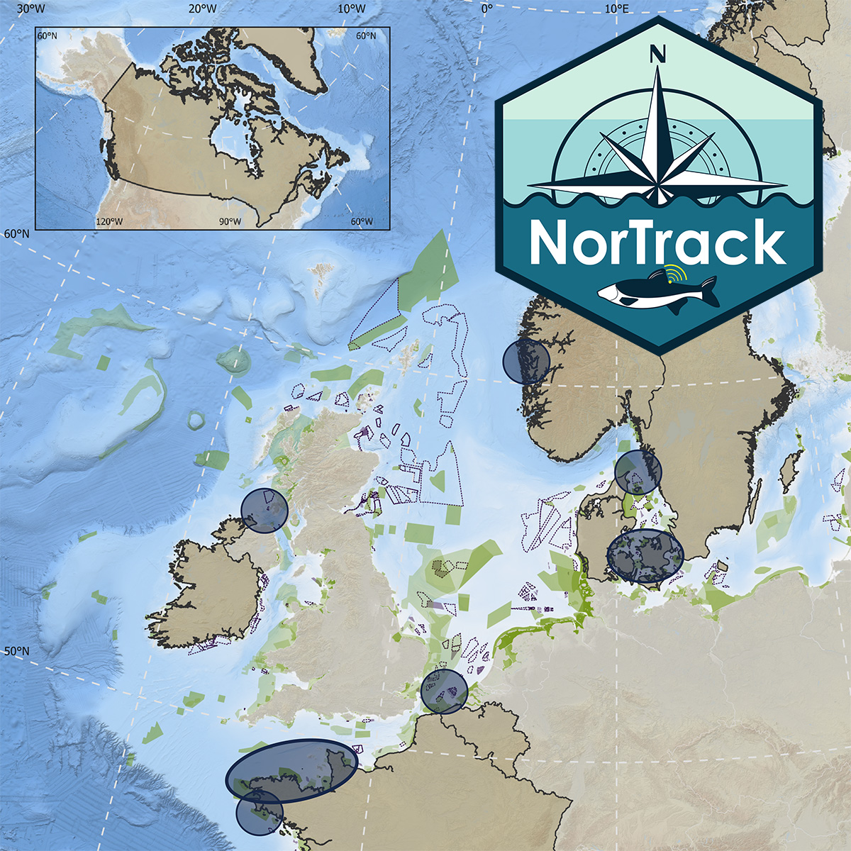FrceEnergiesMar's tweet photo. 📣 Lancé début 2024, le projet #NorTrack vise à étudier les mouvements d’espèces marines d’importance dans l'Atlantique Nord-Est pour pouvoir mieux les préserver. @FrceEnergiesMar et l'@Ifremer_fr y contribuent à travers les suivis #FISHINTEL et #FISHOWF
🔗https://t.co/IXmazdziJu https://t.co/rHDHbW7Djy