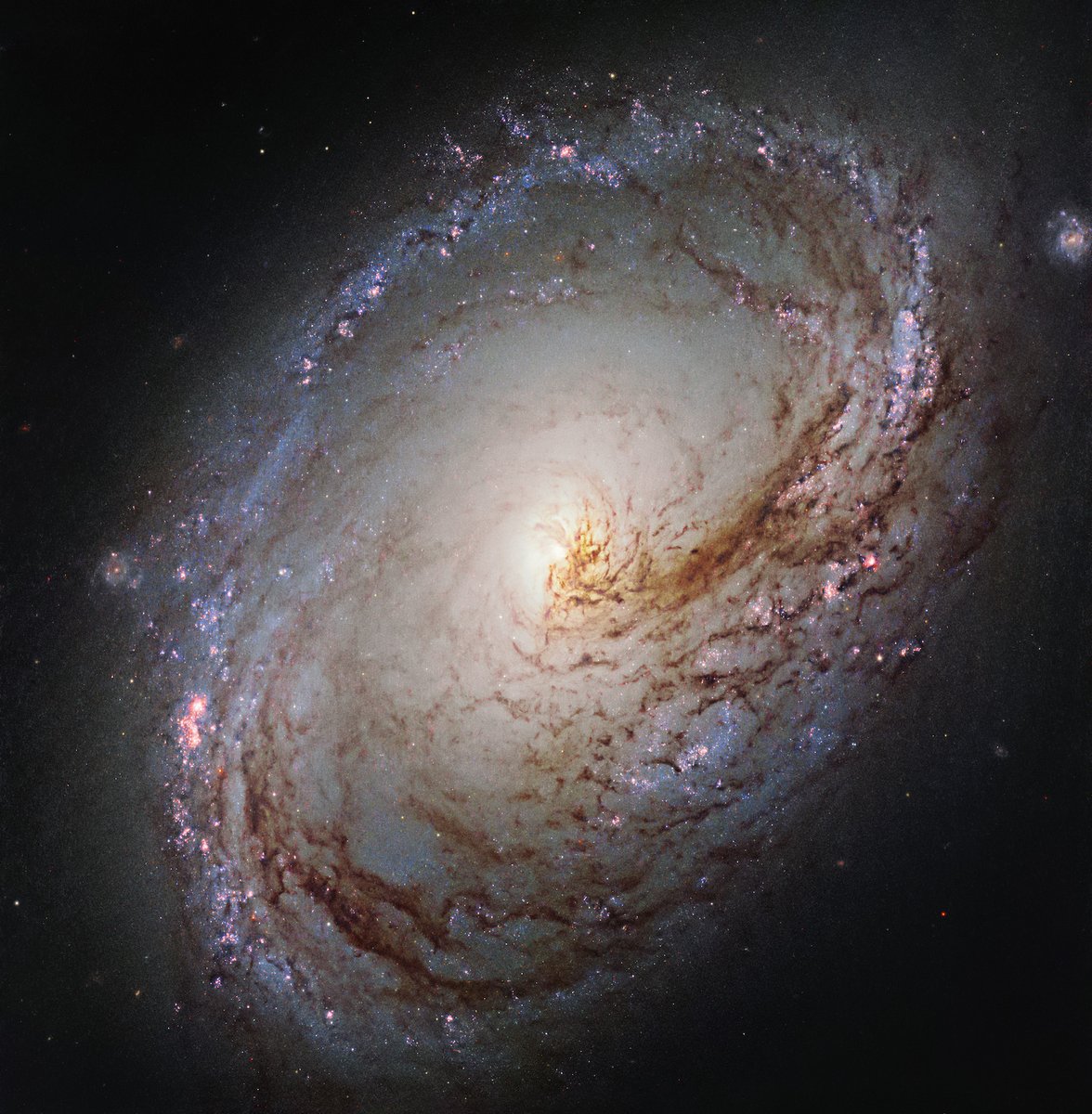 Asymmetry has never been so pleasing! Hubble’s near-infrared and visible-light view shows jostled dark brown dust lanes and a core knocked off center. Why? Galaxy M96 is part of a group of galaxies in a gravitational “tug of war.” Credit: ESA/Hubble, NASA, and the LEGUS Team.