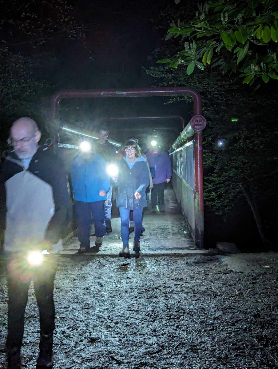 Wednesday turned out to be a really fun evening with the Bolton walking group. There was a great atmosphere and nice to get around and chat to lots of people. #walking #hiking #walkinggroup #groupwalks #bolton #DarcyLever #mosesgate #canalwalks @Lancswildlife @MBBCanalGroup