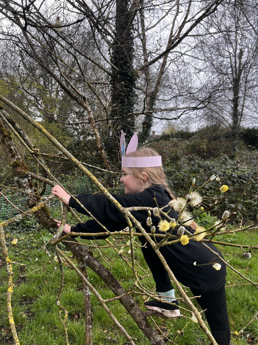 acornpe's tweet photo. Easter fun at todays forest school 🐣 @DiltonMarshSch @newcloseschool @RowdePrimary @stjohnswarmins1 @primary_avenue @WestAshtonCofE https://t.co/7zqZPShOO3