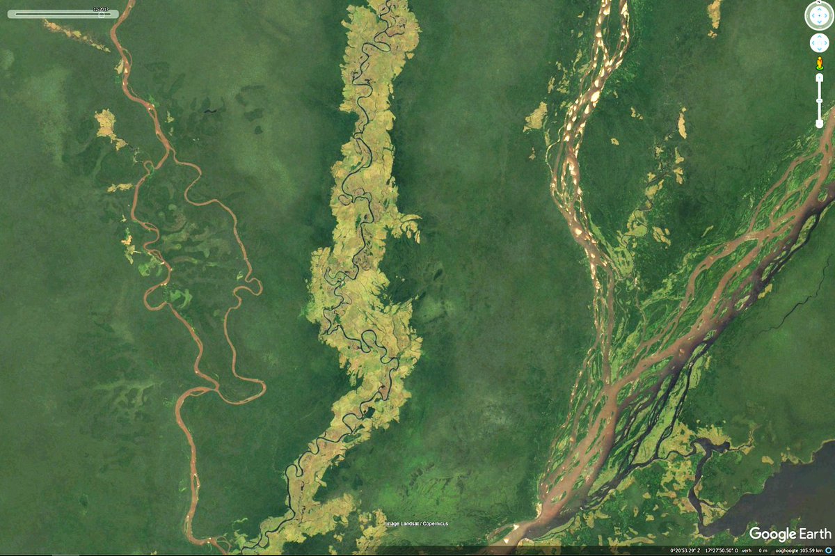 An anastomosing, meandering and braided river flow exactly parallel to each other, deep inside the Congo rainforest: 0°35'35.97'Z, 17°18'14.59'O. This satellite image highlights that totally different river types can arise in a single, uniform environment.