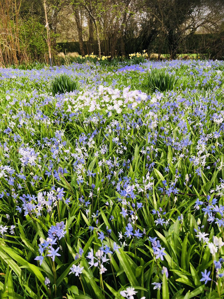 pat havers tweet media