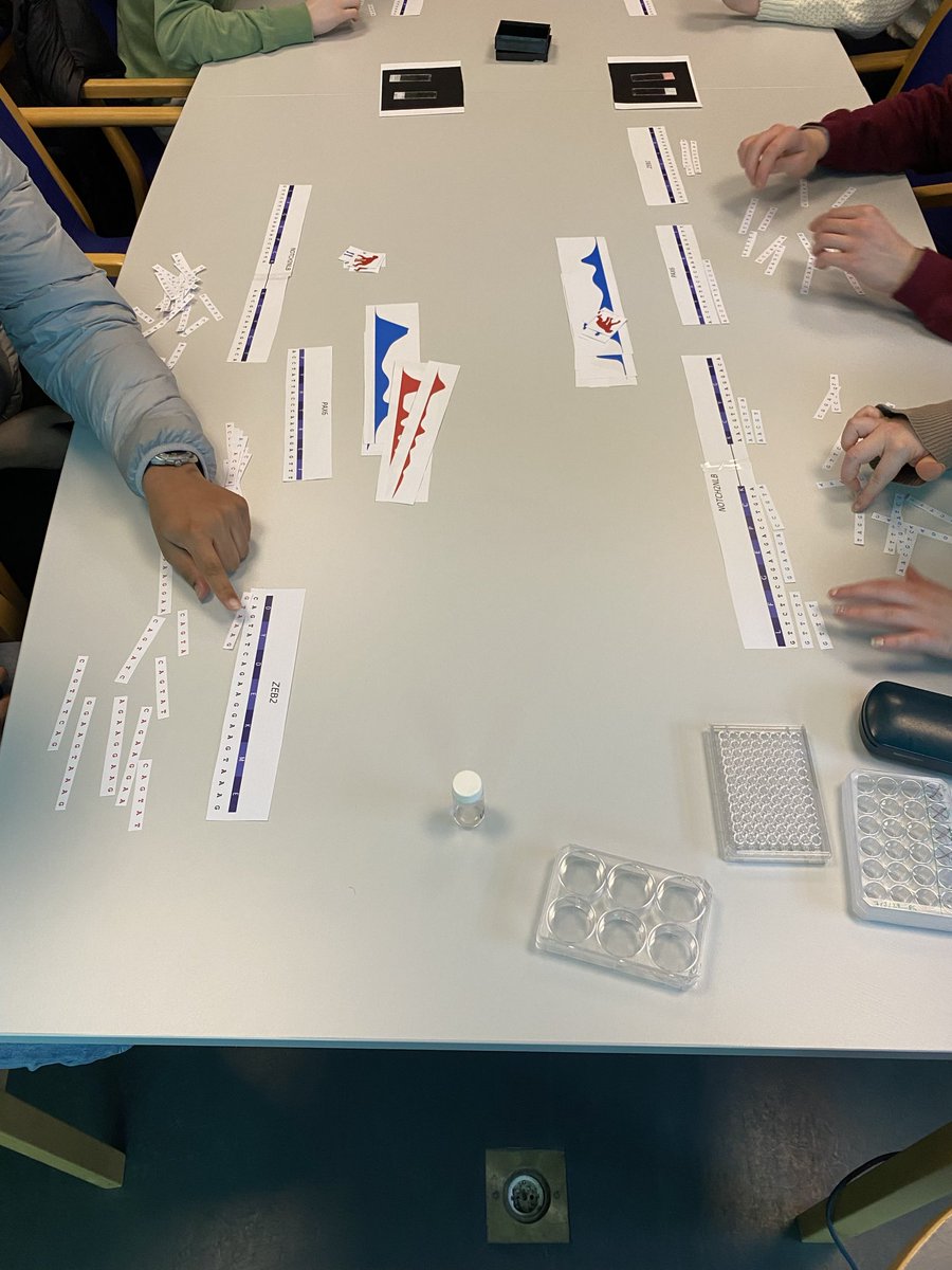 Patricia Gerdes (@patricia_grds) on Twitter photo We had a great time at #UniStemDay2024 explaining to high school students how we study human brain evolution using human and monkey brain organoids and looking at gene expression 🧠🐒🔬🧬 <a href="/lcastilla30/">Laura Castilla-Vallmanya</a> <a href="/NPandiloski/">Ninoslav Pandiloski</a> <a href="/Lund_Stem/">Lund Stem Cell Center</a> <a href="/UniStemDay/">UniStem Day 2025</a> We had a great time at #UniStemDay2024 explaining to high school students how we study human brain evolution using human and monkey brain organoids and looking at gene expression 🧠🐒🔬🧬 <a href="/lcastilla30/">Laura Castilla-Vallmanya</a> <a href="/NPandiloski/">Ninoslav Pandiloski</a> <a href="/Lund_Stem/">Lund Stem Cell Center</a> <a href="/UniStemDay/">UniStem Day 2025</a>