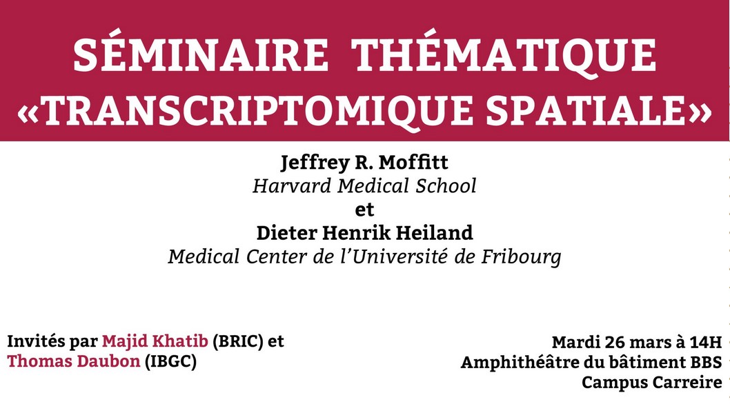 BRIC_Bordeaux's tweet photo. [séminaire thématique #Transcriptomique #spatiale]
🎙Jeffrey Moffitt @harvardmed 
🎙Dieter Henrik Heiland @MILOLab2
📆 26/03 - 2pm
📌BBS Bordeaux @univbordeaux
Organisé par @Majid1Khatib (team 2 @BRIC_Bordeaux), @Thomas_Daubon (IBGC) &amp; @DepartementSBM
https://t.co/Jljla2v7dC https://t.co/MWltYa0P5R