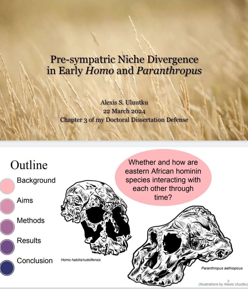My talk on niche divergence in early Homo and Paranthropus is at 3pm in Platinum C today. Can't wait to share a piece of my dissertation research at #AABA2024 !
