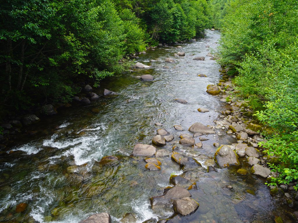 💧 Let's celebrate #WorldWaterDay by recognizing the vital role of watersheds! They're the lifeblood of our ecosystems, providing clean water for millions. Let's protect and conserve them for future generations. 🌏 onetreeplanted.info/3InwHTz