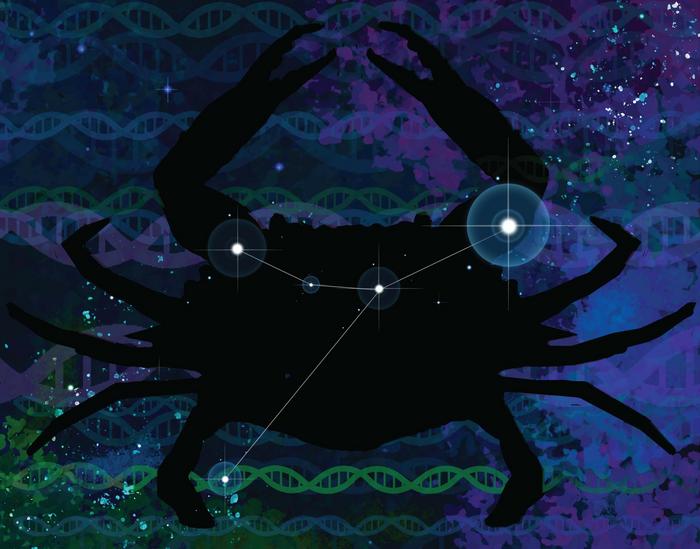 A #MachineLearning pipeline named ARTEMIS captures how the landscape of repeat genomic sequences shifts in patients with #cancer, and could facilitate earlier detection and monitoring of tumor progression. <a href="/ScienceTM/">Science Translational Medicine</a> scim.ag/6jP