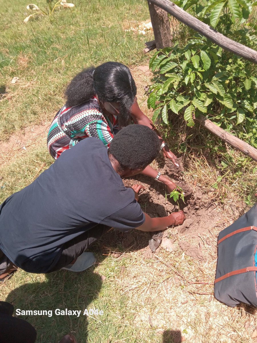 hellen_lum47464's tweet photo. Today community members of Nyalenda A were engaged in clean-up of the western wigwa drainage and planting of trees at Kiya grounds the activity was being lead by @UnitedSolutionswastegroup based in Nyalenda A
#Community4community https://t.co/i0dbM6bl0s