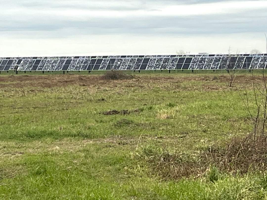 ~2000 acres of solar panels off FM1994 near Needville TX, trashed by hail storms this week. ⚛️ Plant in Bay City chugged right along.
