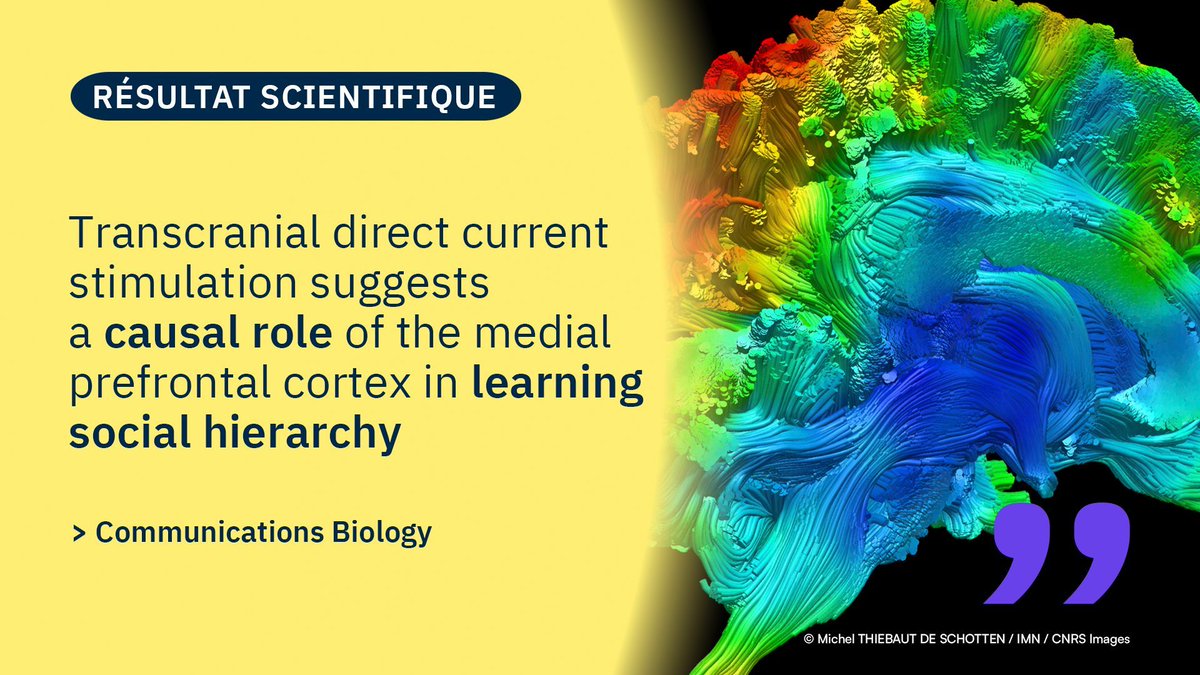CNRS Biologie (@cnrsbiologie) on Twitter photo #ResultatScientifique 🔎| Découvrez la dernière publication de <a href="/JC_Dreher/">Jean-Claude Dreher</a>, directeur de recherche <a href="/CNRS/">CNRS 🌍</a> à l'<a href="/ISC_MJ/">Institut des Sciences Cognitives - Marc Jeannerod</a>, et de ses collaborateurs.
🤝 <a href="/CNRS_dr07/">CNRS Rhône Auvergne</a> <a href="/UnivLyon1/">Université Lyon 1</a>
📕 <a href="/CommsBio/">Communications Biology</a> | buff.ly/49YuyKg #ResultatScientifique 🔎| Découvrez la dernière publication de <a href="/JC_Dreher/">Jean-Claude Dreher</a>, directeur de recherche <a href="/CNRS/">CNRS 🌍</a> à l'<a href="/ISC_MJ/">Institut des Sciences Cognitives - Marc Jeannerod</a>, et de ses collaborateurs.
🤝 <a href="/CNRS_dr07/">CNRS Rhône Auvergne</a> <a href="/UnivLyon1/">Université Lyon 1</a>
📕 <a href="/CommsBio/">Communications Biology</a> | buff.ly/49YuyKg
