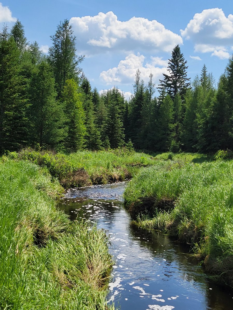 PatricStevenson's tweet photo. @AB_Enviro @rebeccakschulz World Water Day https://t.co/E0b8kewUKg