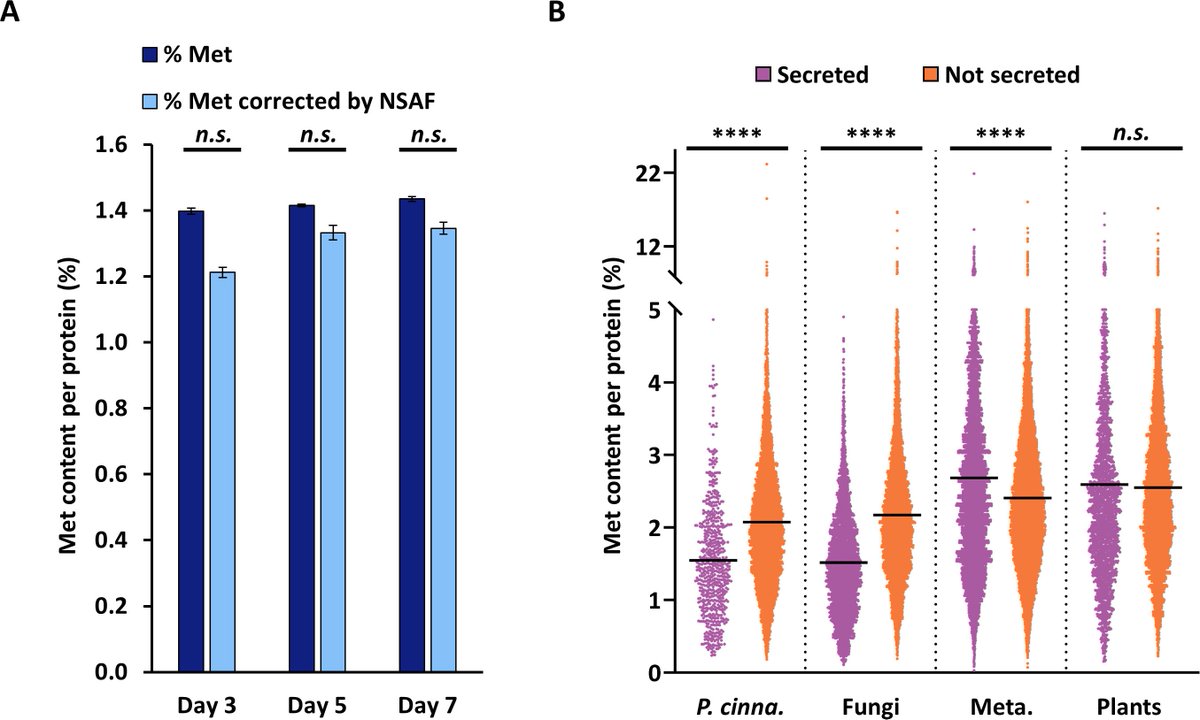 Steve Marek tweet media