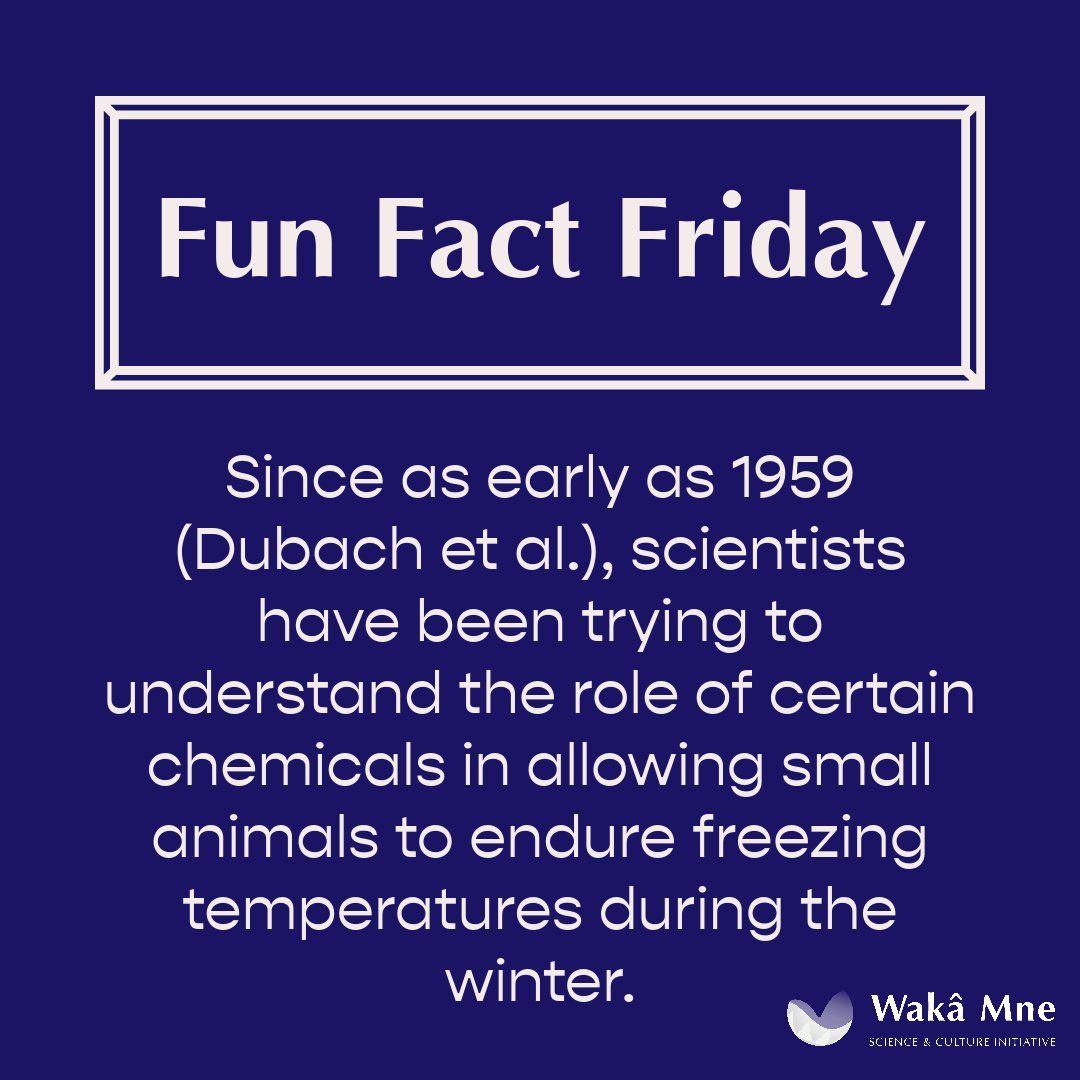 ANSNproject's tweet photo. Since as early as 1959 (Dubach et al.), scientists have been trying to understand the role of certain chemicals in allowing small animals to endure freezing temperatures during the winter, such as wood frogs.

📸🖍️: Adobe Express
🔗🌳: https://t.co/OJ6NImUqNi https://t.co/gyxRez8lhP