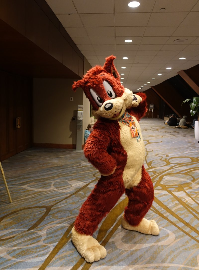Just being a total ham at #FurnalEquinox2024. Also, check out my sweet new bandana that I got from @MadeFurYou! #FursuitFriday Photo courtesy of @furtrack and taken by k_the_snep.