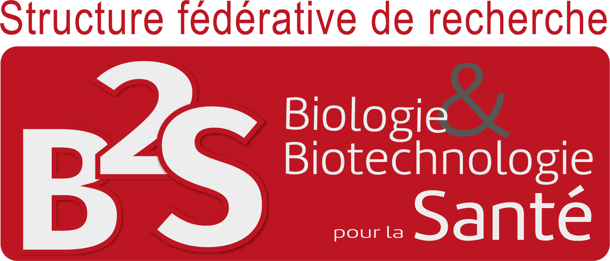 RT SVP ! Avis à la large communauté de la recherche en biologie de Toulouse ! La SFR-B2S fait sa grande entrée sur les réseaux sociaux : - sur linkedin @Structure Fédérative de Recherche « Biologie et Biotechnologie pour la Santé » (SFR-B2S) - sur Tweeter @SFRB2S_Toulouse