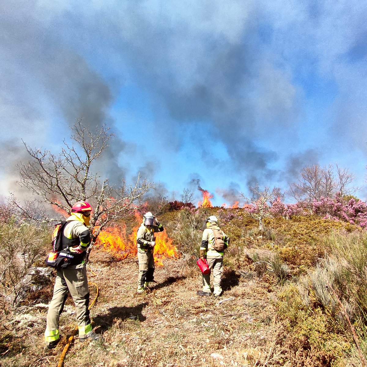BaseBarco's tweet image. Quema prescrita en Manzaneda (Paradela).