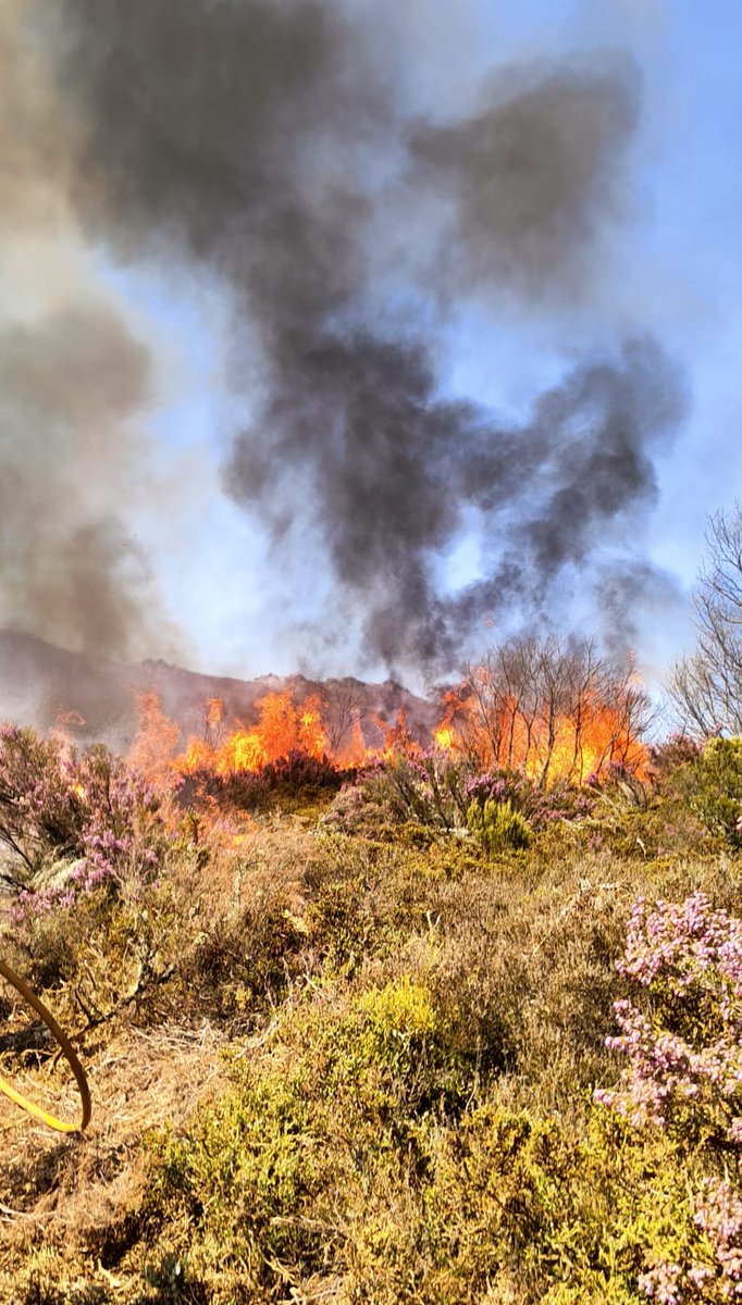 BaseBarco's tweet image. Quema prescrita en Manzaneda (Paradela).