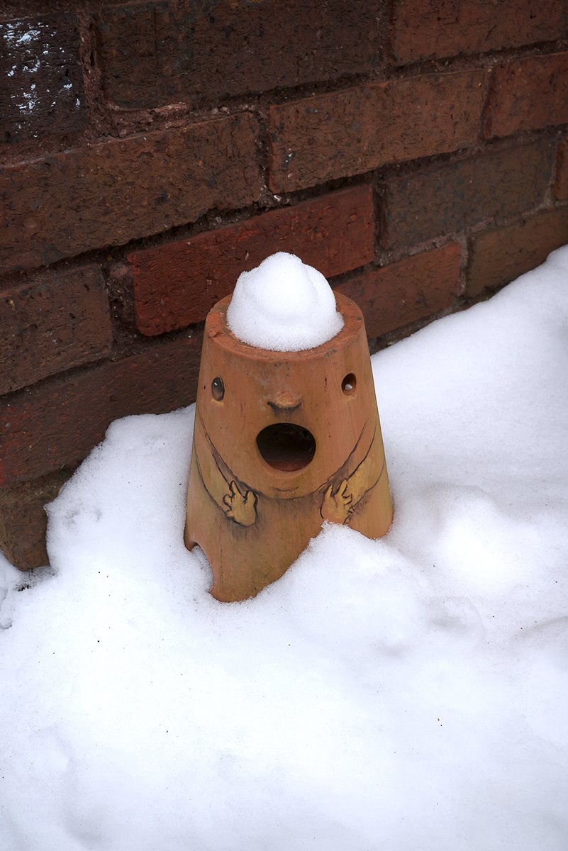 Well, at least someone is excited to see snow! #StreetArt #ChalkArt #flowerpot #pareidolia