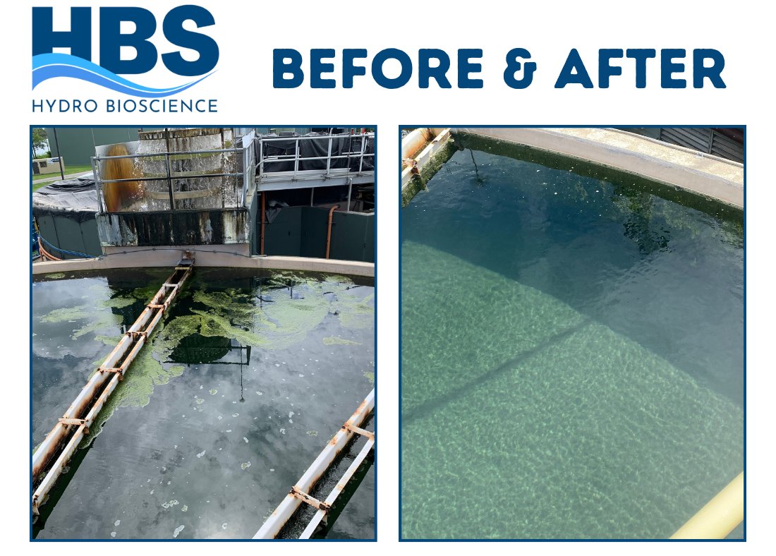 Don’t take our word for it, read what our customer have to say! Check out the shocking before and after results using our ultrasonic algae remediation products.
hydro-bioscience.com/about-us/custo…
#algaemanagement #waterqualitymonitoring
