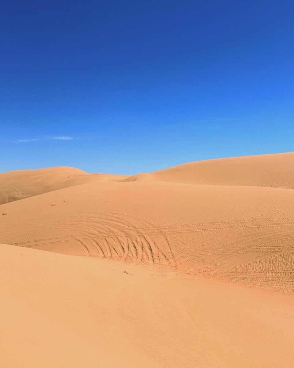CKFilmsNY's tweet photo. We are honored to be location scouting the breathtaking, gorgeous, unforgiving Yuma Desert — a desert that has been crossed by many throughout history. 

The desert that will be the backdrop for our feature film, @backyarddesert https://t.co/IKUR7PZ2Yp