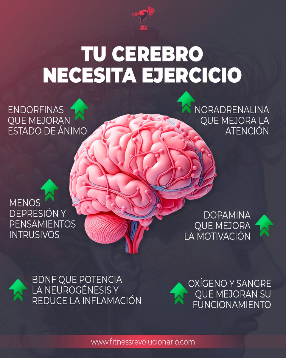 FITrebelde's tweet photo. El cerebro es materia, y su funcionamiento depende de la calidad de la materia.

El ejercicio aporta mucho más a tu cerebro que hacer crucigramas. https://t.co/de5De9FxEQ