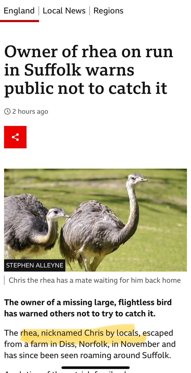 Oh England, how I love you!