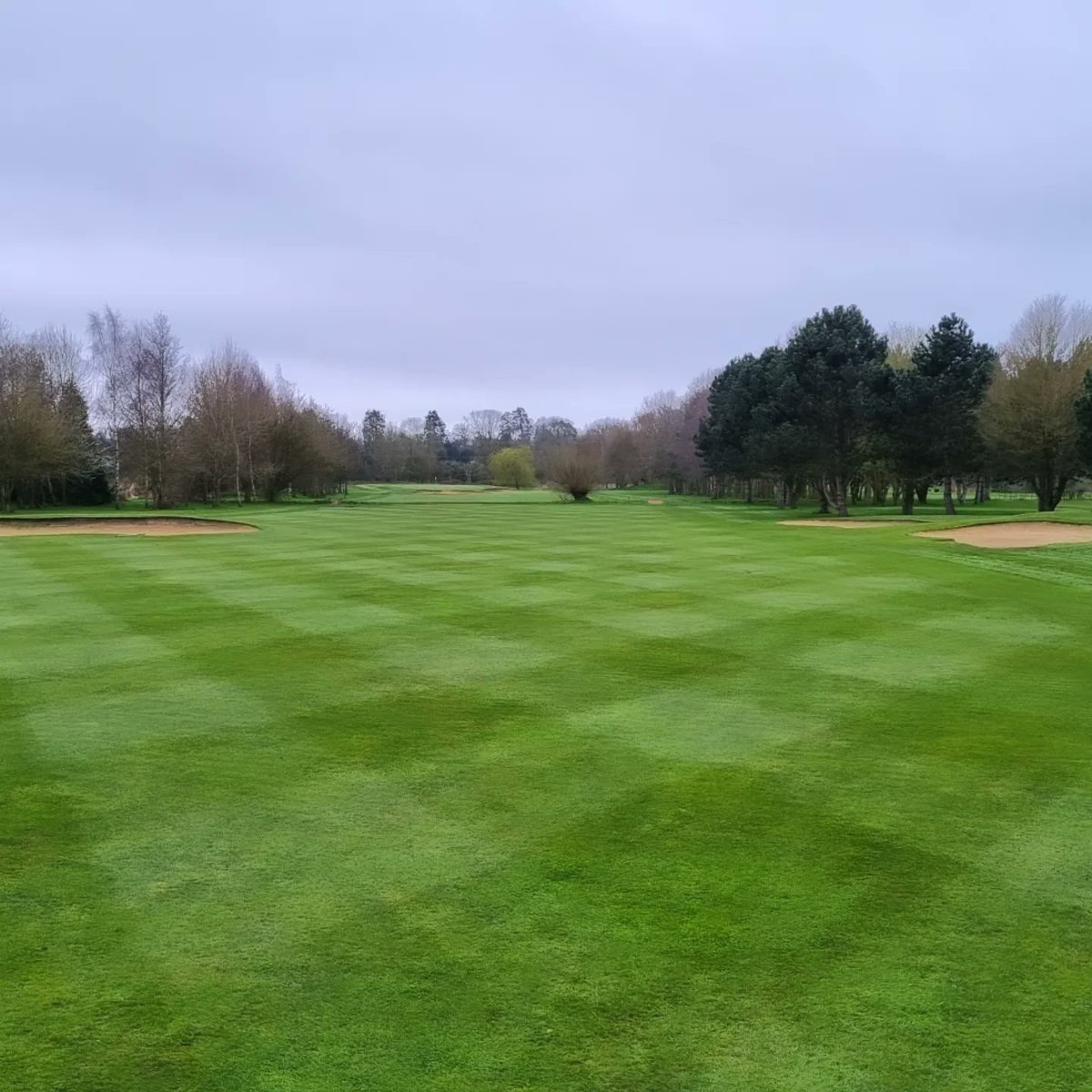 GolfAtDrayton's tweet photo. The difference a dry week can make to the course. We've managed to get everything cut this week, and it's looking great just in time for the captain's drive-in tomorrow. Really proud of the lads and their efforts this week. https://t.co/P5oLQM70Xr