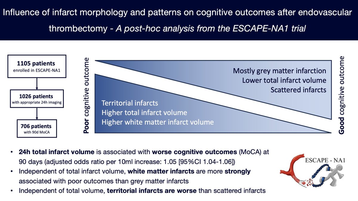 #STROKE: In a secondary analysis of the ESCAPE-NA1 trial, infarct volume, white matter involvement, and territorial distribution were associated with cognitive outcomes. #AHAJournals ahajournals.org/doi/10.1161/ST…