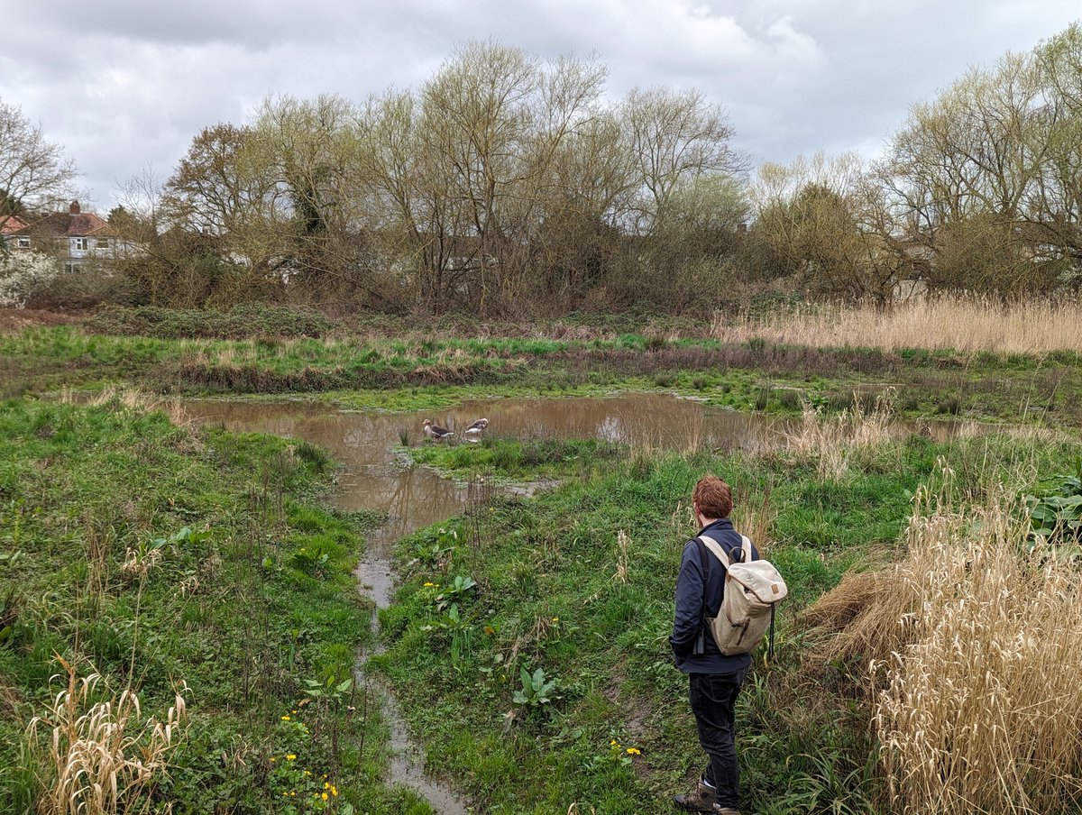 YourRBI's tweet photo. Second stop of the day is at the Chase Local Nature Reserve, with @BDParkRangers @CitizenZoo @EnvAgencySE and @Thames21 looking at exciting ways to improve biodiversity & build on the success of the recent 'Rewilding the Rom' project #RBICP https://t.co/tFVqbheDX4