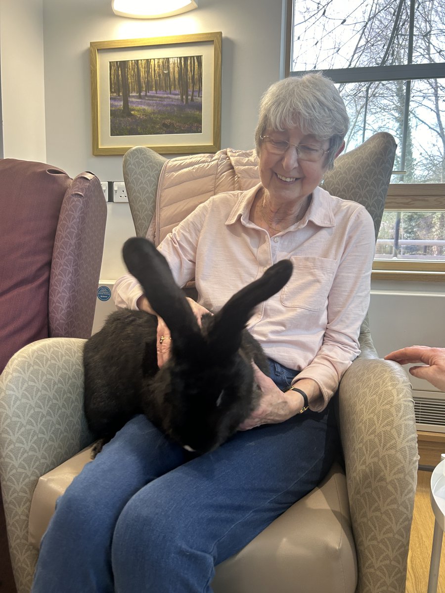 Baby goats and giant rabbits in the Hospice? Yes please! Our patients and carers loved having a cuddle with these gorgeous animals last week. They actively relieve anxiety, so play a really important role for our hospice community. ❤️ Thanks for bringing them in!