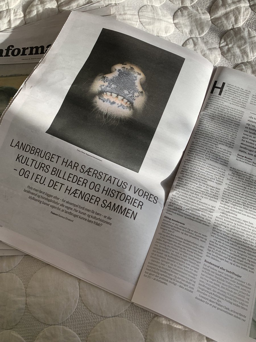 DitteBrasso's tweet photo. EU har et ok vildt sprogbrug - og traktatbeskyttelse - når det kommer til #landbrug 

Det har jeg talt med @informeren om - sammen med bl.a. @TorstenBThomsen @GeorgeMonbiot og #MathildeWalterClark #eudk #dkgreen @thinkeuropa https://t.co/fejD5ihdKg