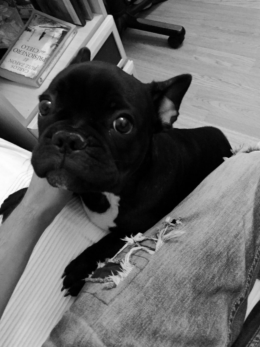 CAPITANTRUENO14 tweet media