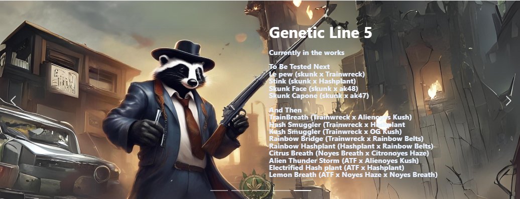 The_Noyes_Boys's tweet photo. Here's a little info & a bit of a teaser on our line 5
We've got so much in the works it's not even funny 💪🇨🇦
#teaser #CannabisCommunity #skunk #skunkweed #skunkog #cannabisindustry #ogweed #growtent #growyourown #canadacannabis https://t.co/SgOyDVBXnF