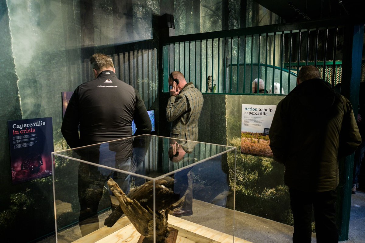 LATERAL NORTH tweet media