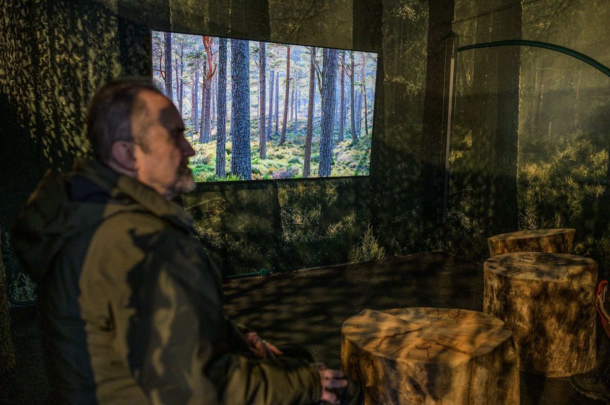 LATERAL NORTH tweet media