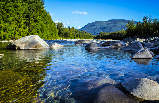 scienceworldca's tweet image. Celebrating #WorldWaterDay with reverence for water's sacred role in all life. Join us in learning about the Syilx Okanagan Nation's siwɬkʷ Water Declaration. 

Read more: l8r.it/ZsVG

#IndigenousKnowledge #ScienceWorldca #WaterIsLife