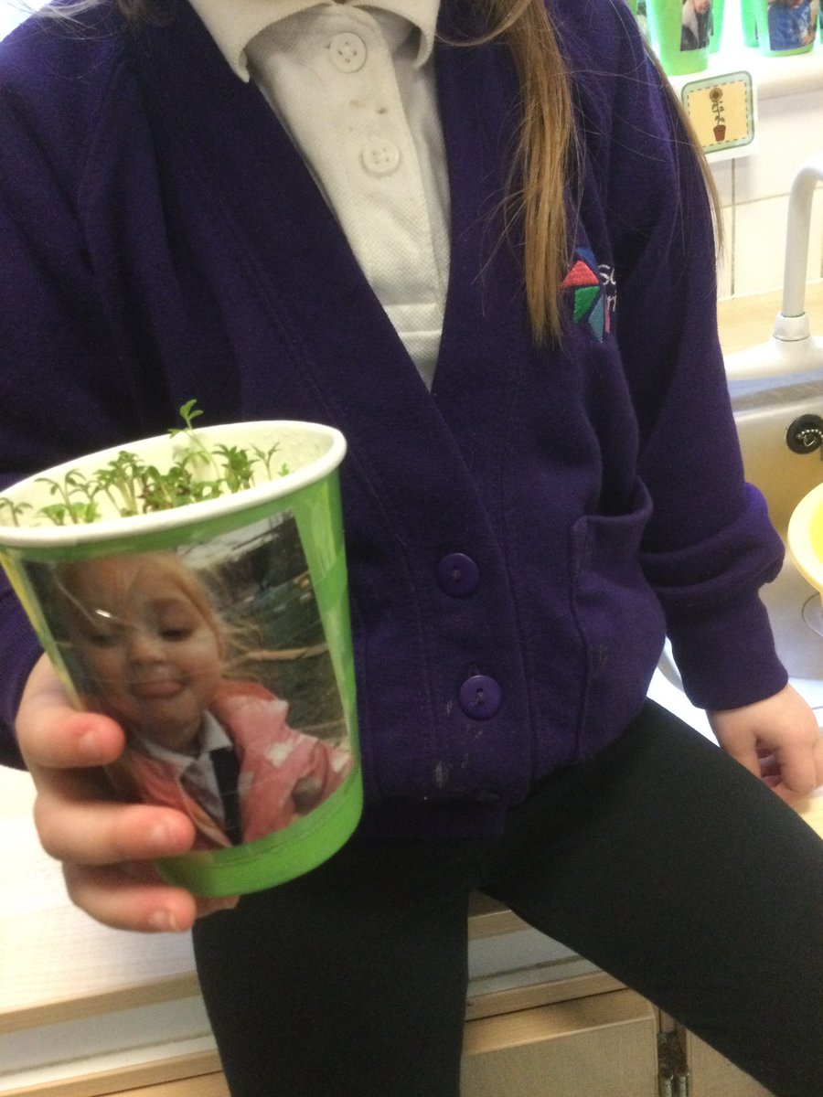 In Nursery we pulled funny faces for our “cress head” pots, we have looked after our seeds all week and have been excited to see our “cress hair” growing so quickly! Next week we will taste the cress. 🌱
