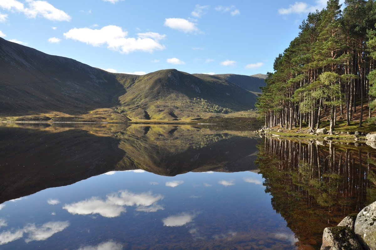 Cairngorms National Park tweet media