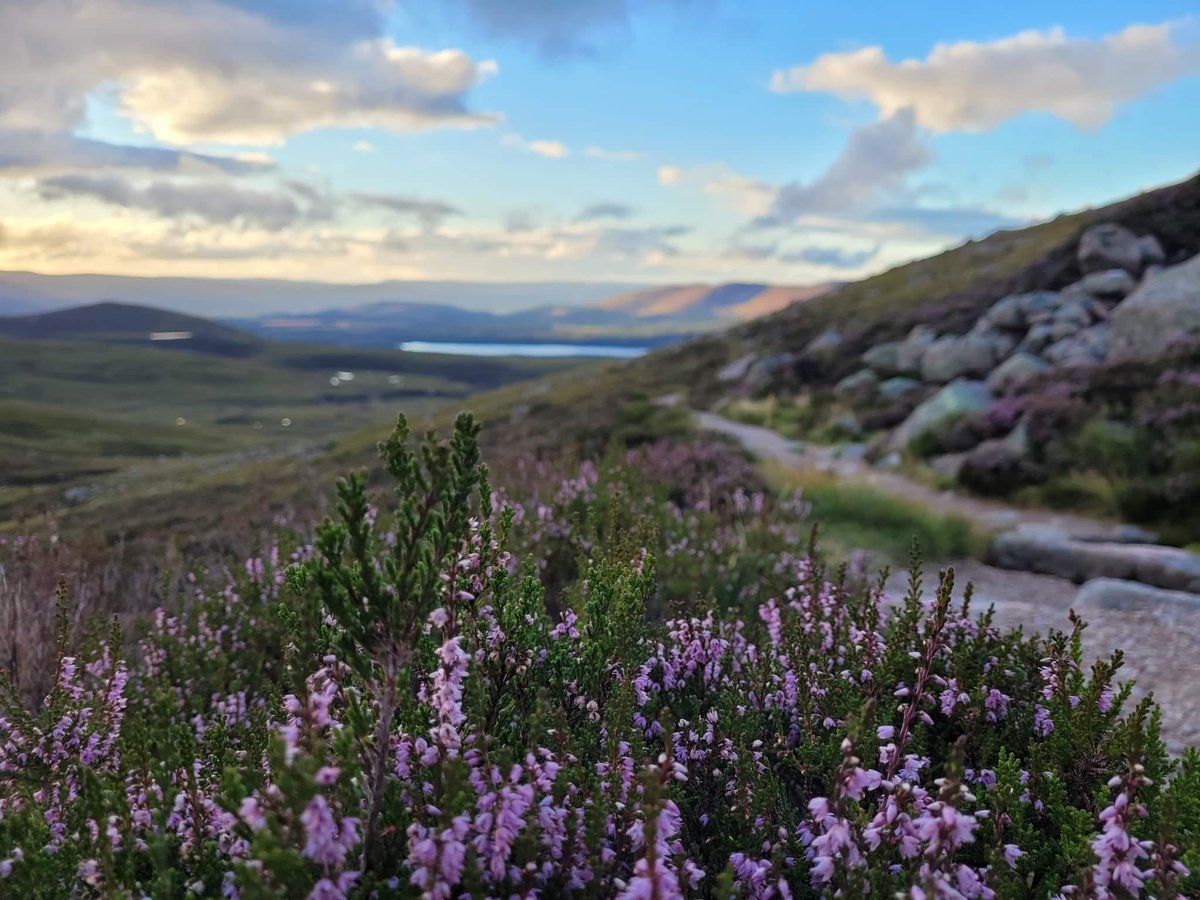 Cairngorms National Park tweet media