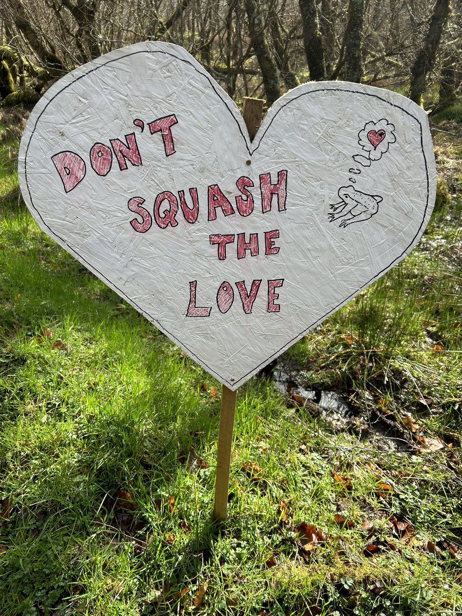 Colin MacFarlane tweet media