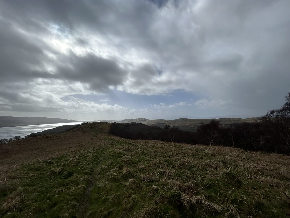 Colin MacFarlane tweet media