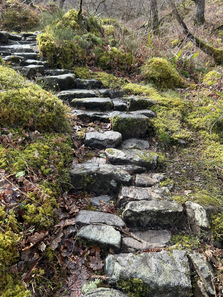 Colin MacFarlane tweet media