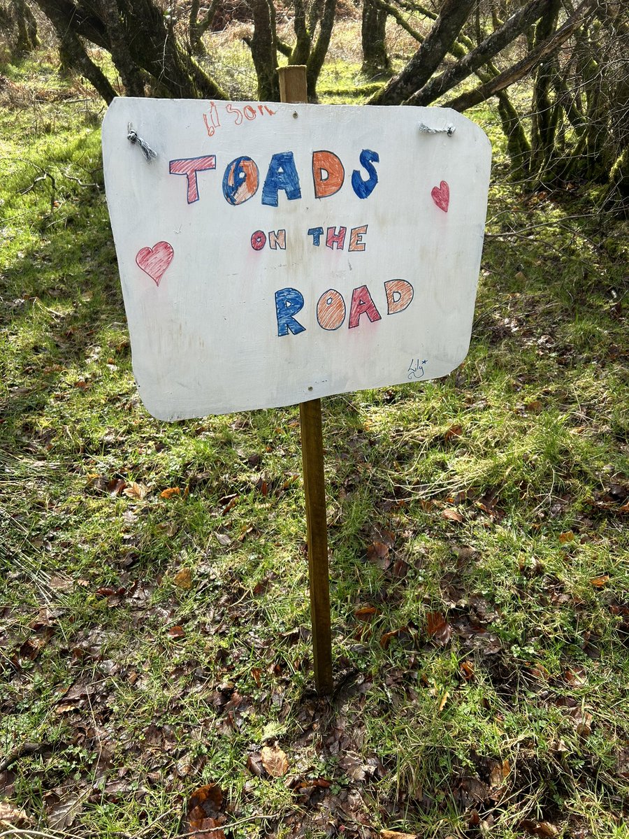 Colin MacFarlane tweet media