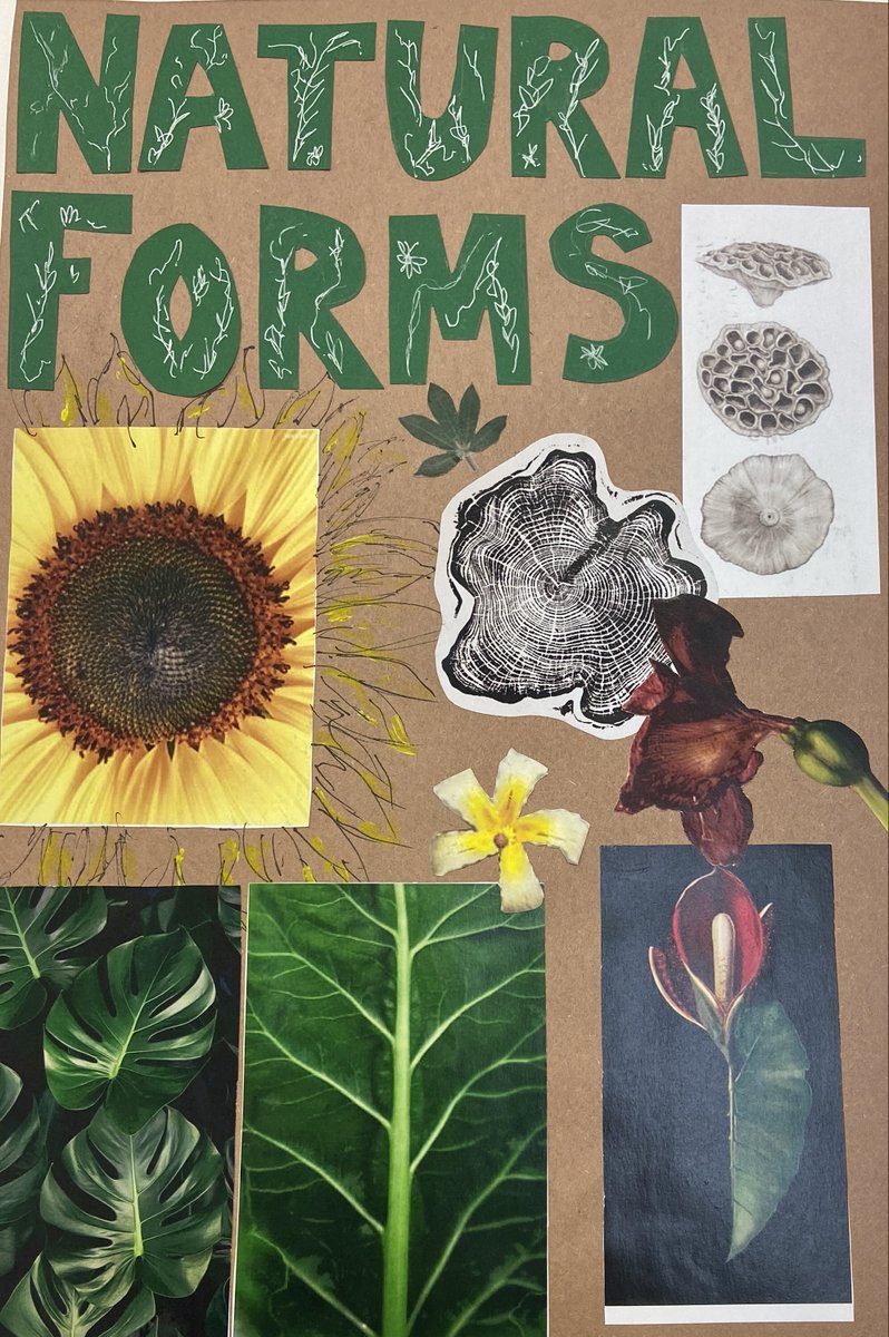 VandykeUpperSch's tweet photo. Congratulations to Olivia G, our #FineArtistOfTheFortnight! Olivia has been working on a project based around #NaturalForms, exploring a range of different #artists & #techniques. She has worked very hard & puts lots of effort into her art lessons. Keep up the great work Olivia! https://t.co/eFlRLhSuv1