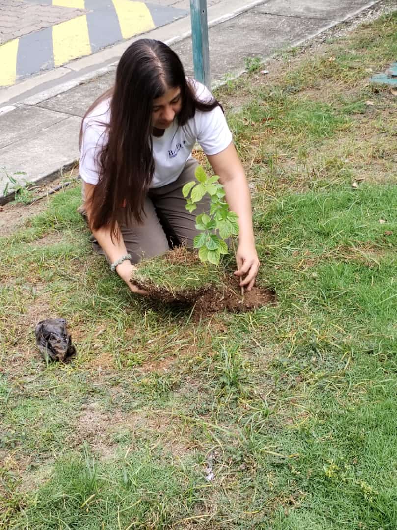 FundBioelit's tweet photo. @Expresoec @Maritzacardenac @PrefGuayas @LAJOYAec @AlcaldiadeDaule @ComunidLaAurora @Ambiente_Ec @donramon_10 @eluniversocom Contribuimos a la mitigación del cambio climático y a la recuperación de la cobertura vegetal con especies de Bosque Seco Tropical en la Aurora-Daule, con árboles nativos como Guayacán,Fernández Sánchez,Laurel,Pechiche en la @LAJOYAec
@AlcaldiadeDaule @PrefGuayas https://t.co/PcElGpbRnp