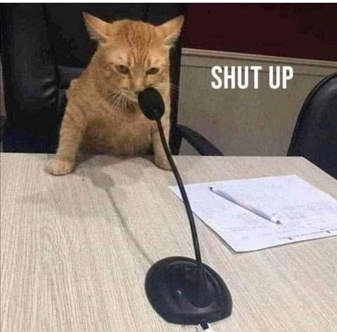 Me ofrecieron 14 mil pesos por un tuit para apoyar a la sheinbaun (700 dlls)
Está cuenta la siguen distintos políticos de todos los partidos,y los seguidores de aquí son reales, no pondré nada en favor de quien creo no le conviene a este país, ALV todos y cada uno de los partidos