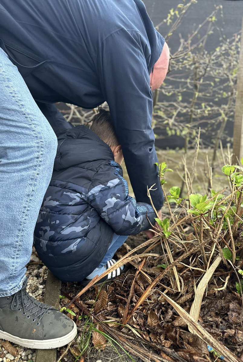 Ronald Loch tweet media